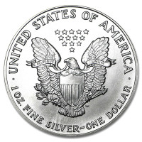 Silver coin American Silver Eagle 1 oz (1991)