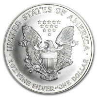 Silver coin American Silver Eagle 1 oz (1995)
