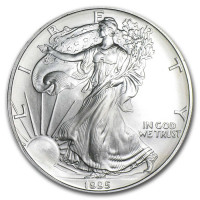 Silver coin American Silver Eagle 1 oz (1995)