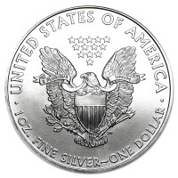 Silver coin American Silver Eagle 1 oz (2010)