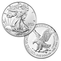 Silver coins American Silver Eagle 1 oz (2021) Type2