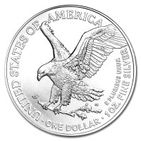 Silver coin American Silver Eagle 1 oz (2022)