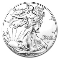 Silver coin American Silver Eagle 1 oz (2022)