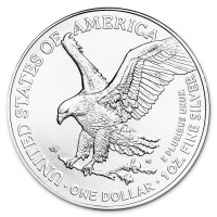 Silver coin American Silver Eagle 1 oz (2024)