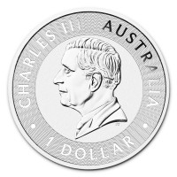 Silver coin Australian Kangaroo 1 oz (2024)