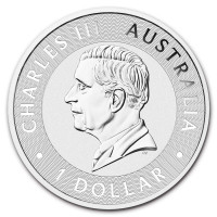 Silver coin Australian Kangaroo 1 oz (2026)