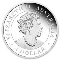Silver coin Emu 1 oz (2019)