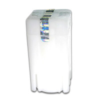 Silver coin Krugerrand 1 oz (2022)