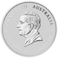 Silver coin Year of the Goat 1 oz (2027)