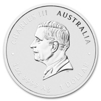 Silver coin Year of the Horse 1 oz (2026)