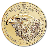 Gold coin American Gold Eagle 1 oz Type2