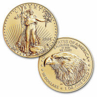 Gold coin American Gold Eagle 1 oz Type2