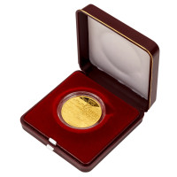 Gold coin ČNB 5.000 Kč Pilsen PROOF 1/2 oz