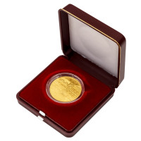 Gold coin ČNB 5.000 Kč Pilsen STANDARD 1/2 oz