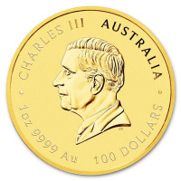 Gold coin Year of the Horse 1 oz (2026)