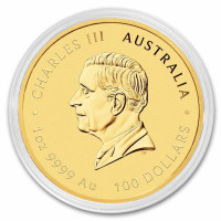 Gold coin Year of the Horse 1 oz (2026)